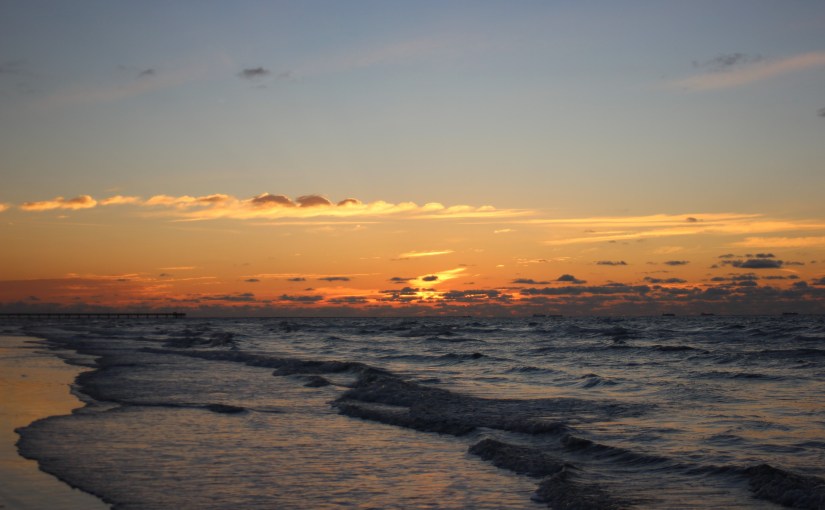 Day 35-A Great Week until the end&nbsp;anyway.