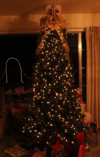 Day 222-Christmas Magic